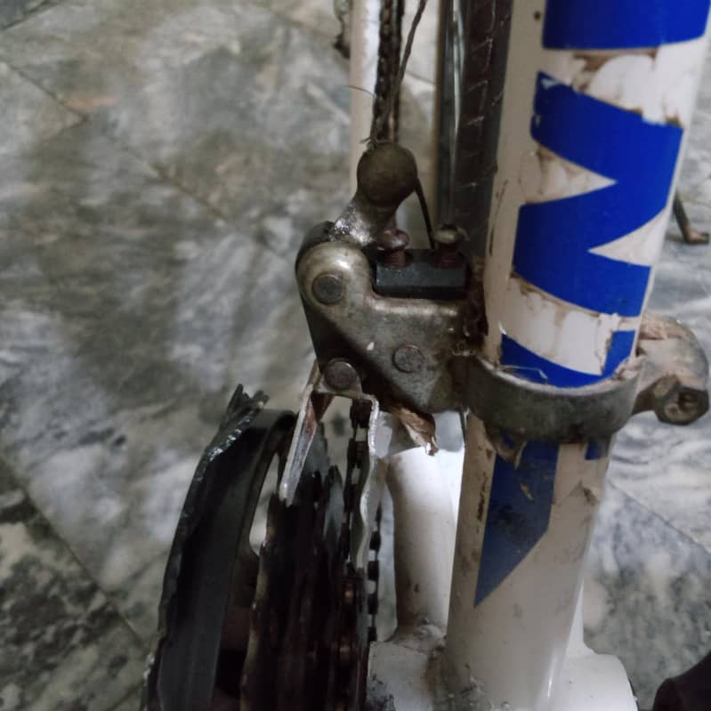 Giant cycle 12