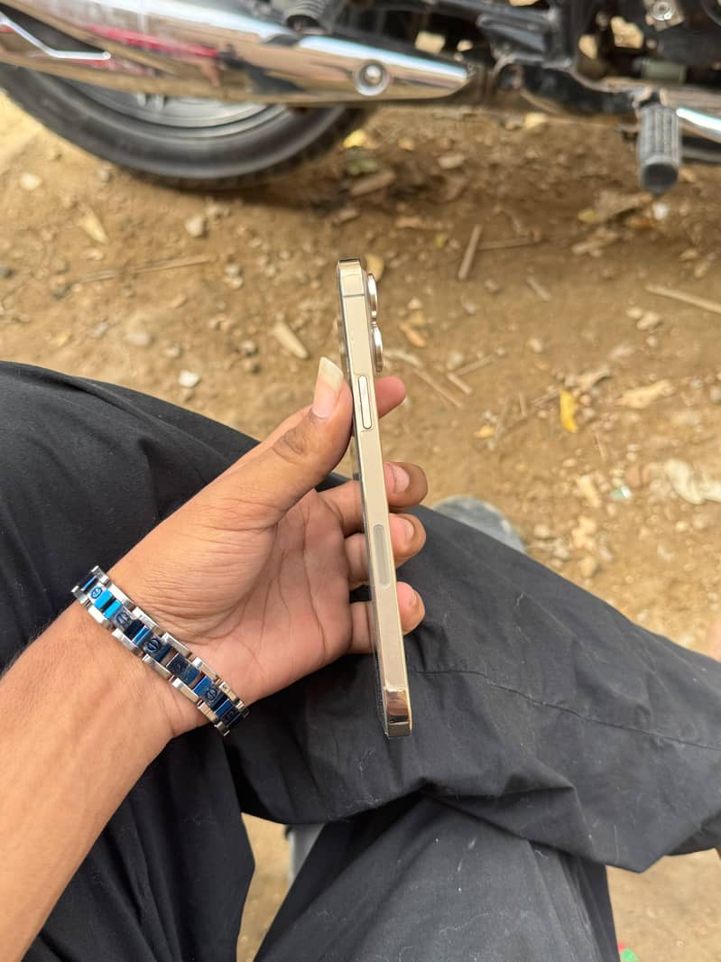Apple iPhone 13 Pro Max 4