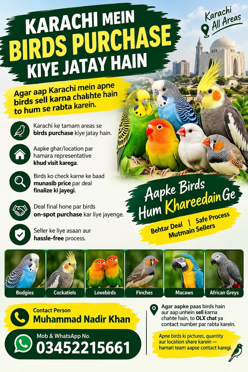 Ghar Bethay Apnay Birds Sell Karein Or Apni Incom Barhain — photo 2