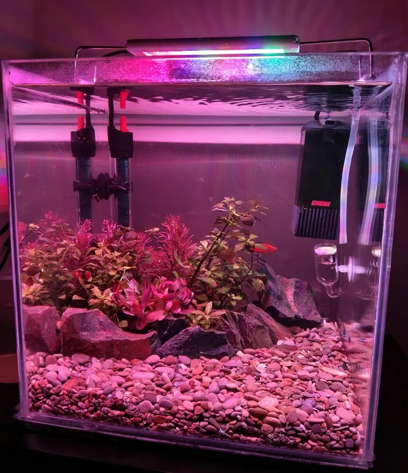 aquarium — photo 8