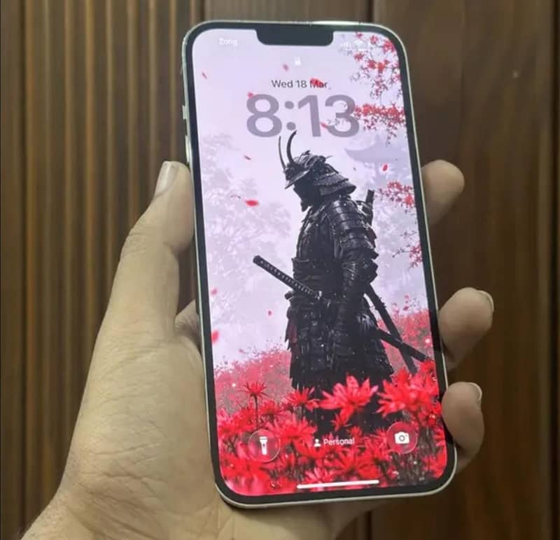 Apple iPhone 13 Pro Max 1