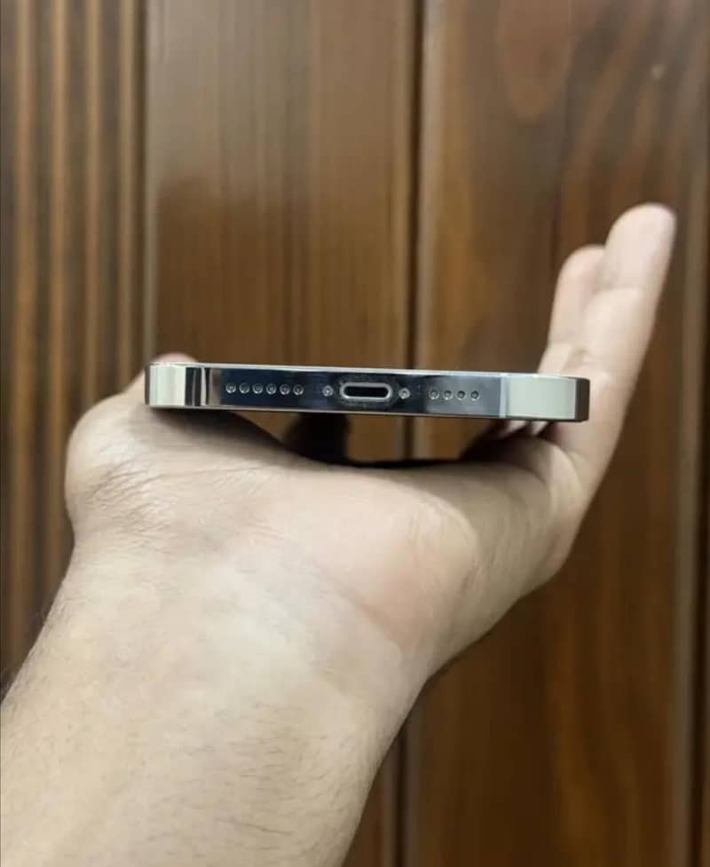 Apple iPhone 13 Pro Max 2