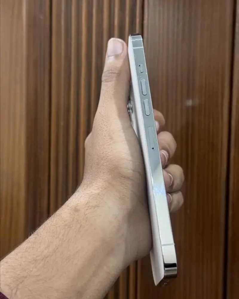 Apple iPhone 13 Pro Max 3