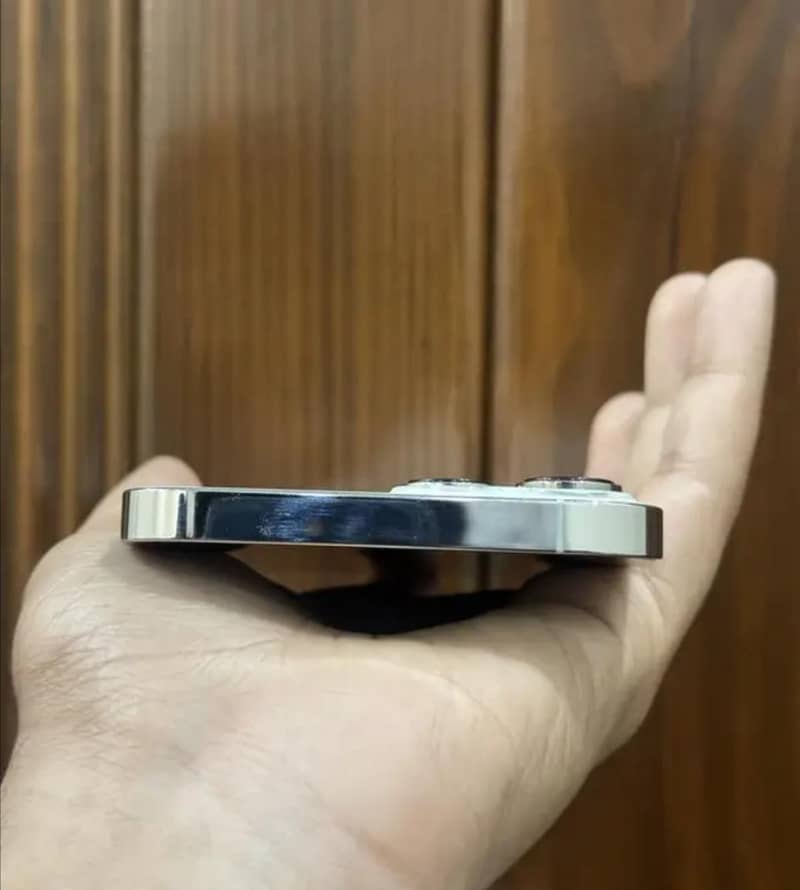 Apple iPhone 13 Pro Max 5