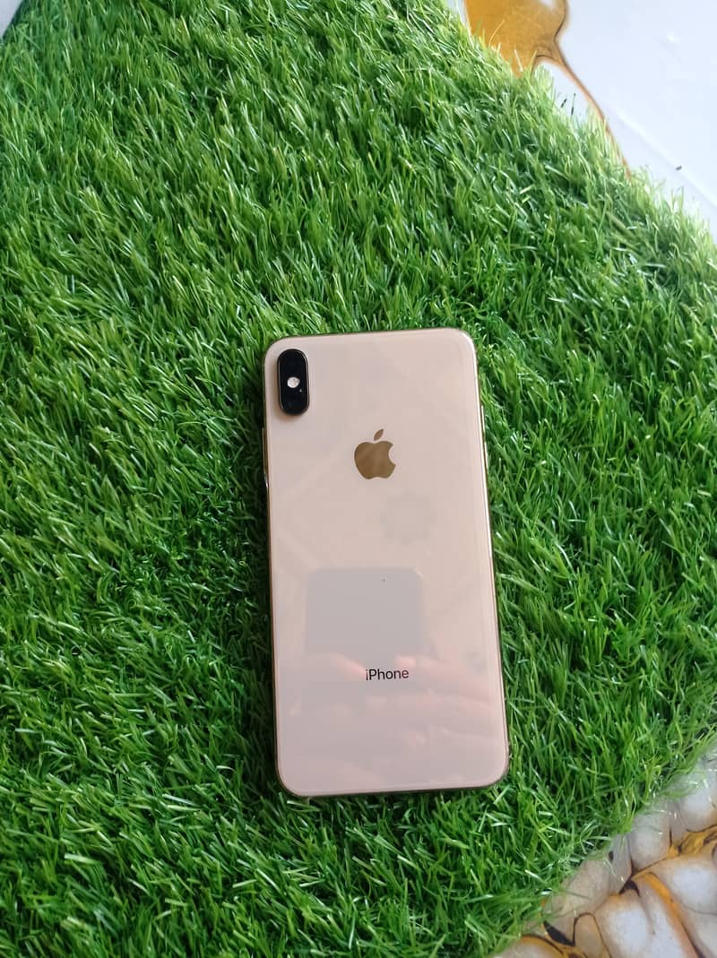 Apple iPhone XS Max 10