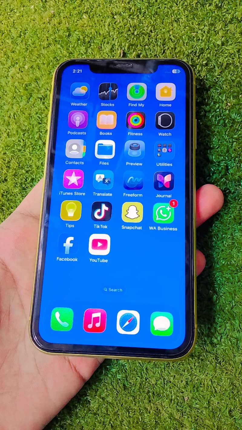 Apple iPhone 11 1