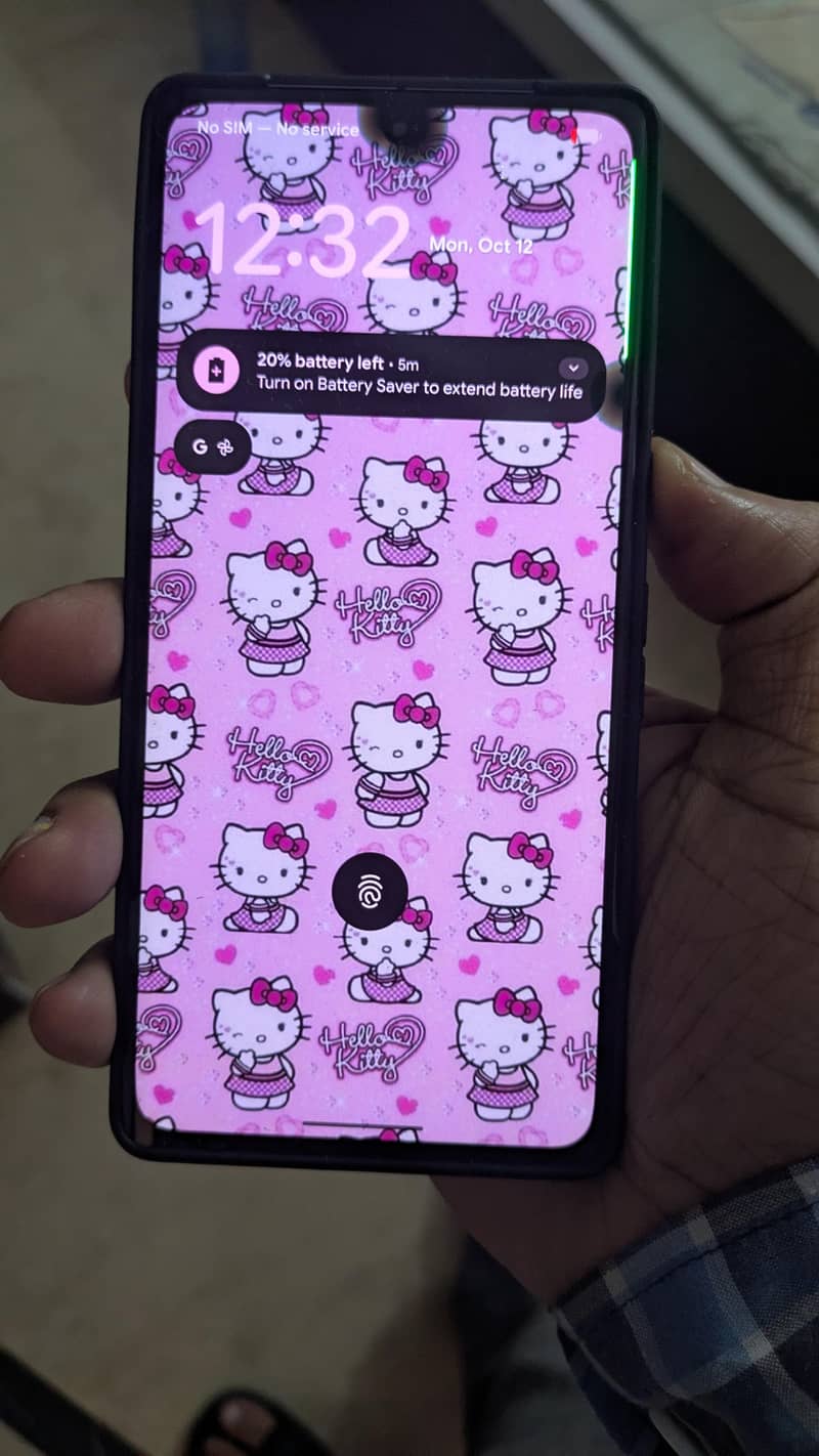 Google Pixel 7 Pro panel 0