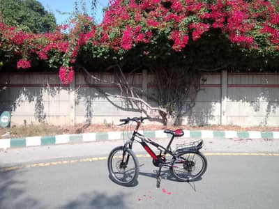 cycle