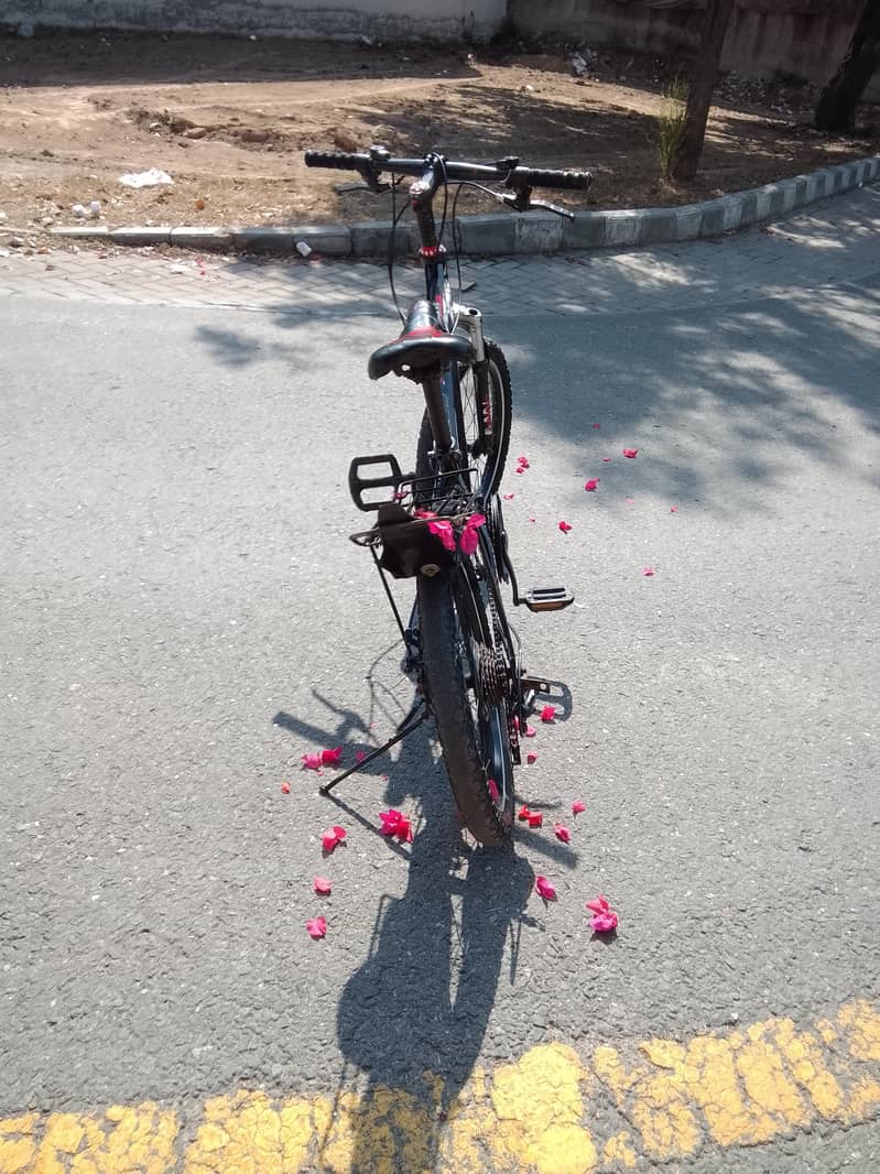 cycle 3