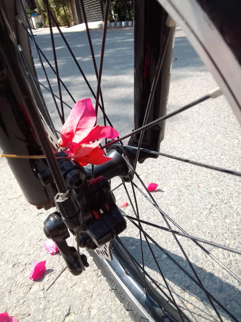 cycle 4
