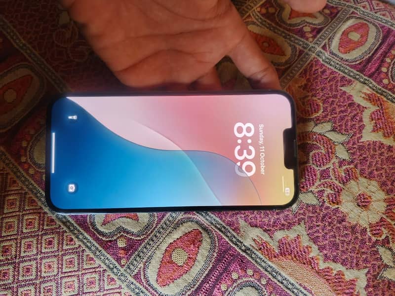 Apple iPhone 13 Pro Max 1