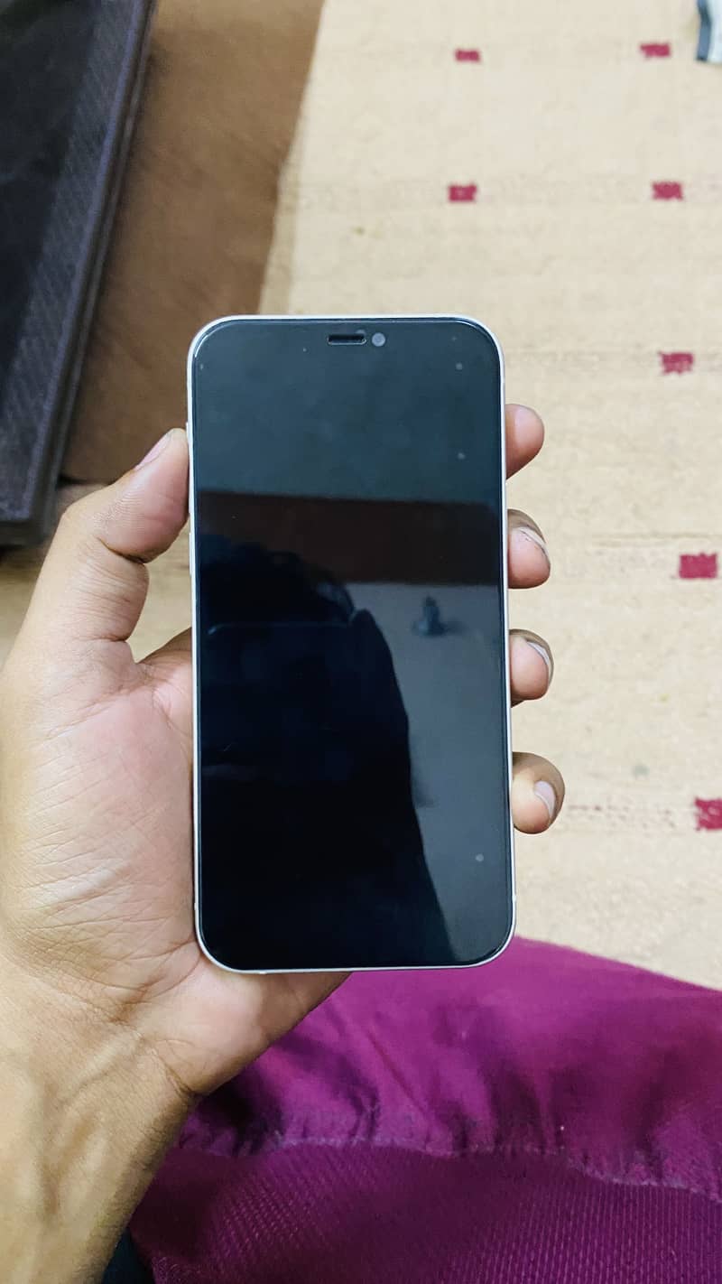 Apple iPhone 12 1