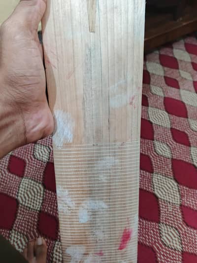 Cricket Bat