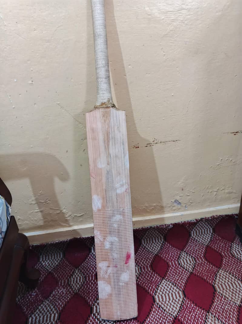 Cricket Bat 1