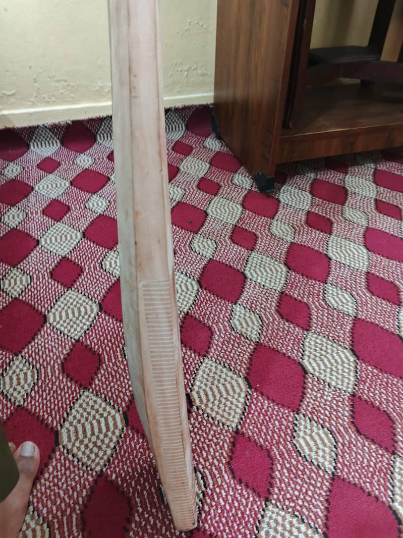 Cricket Bat 2