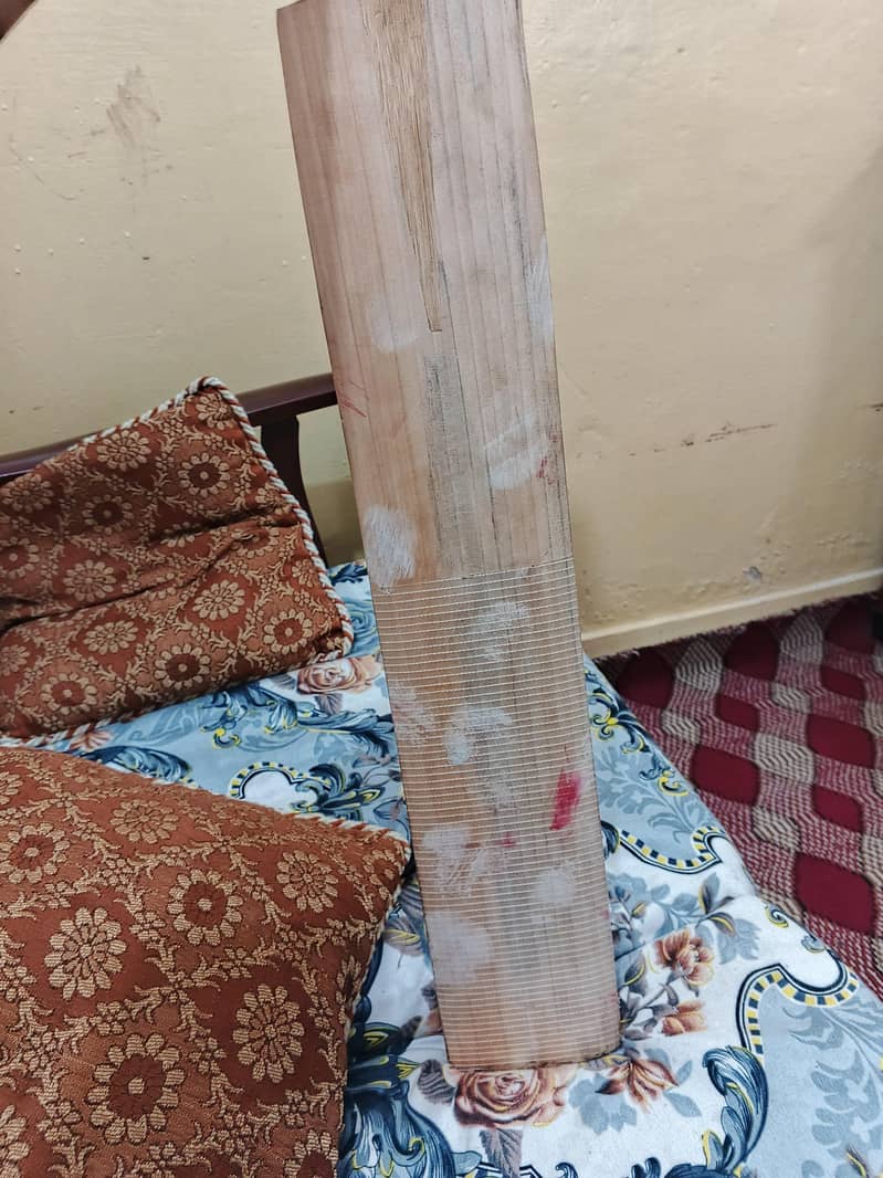 Cricket Bat 3