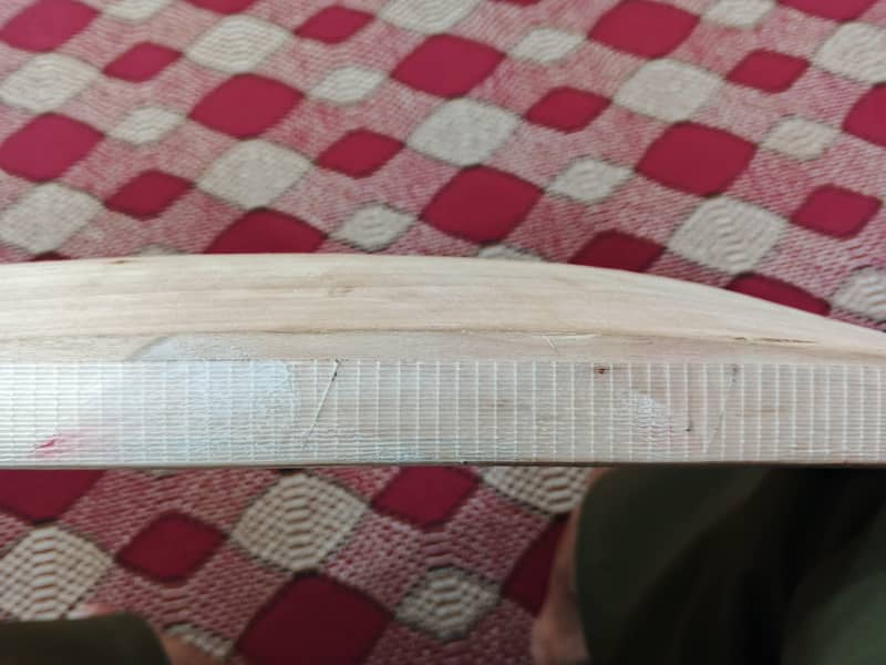 Cricket Bat 4