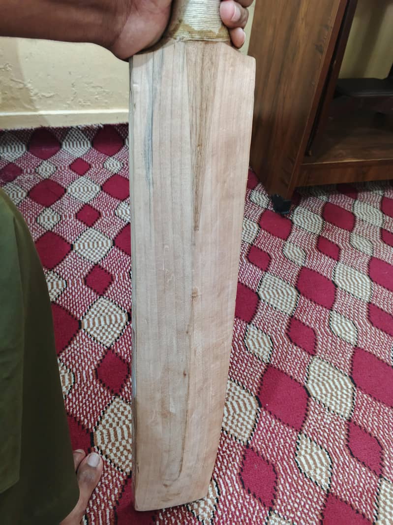 Cricket Bat 5