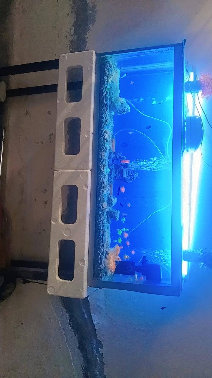 38000 1
