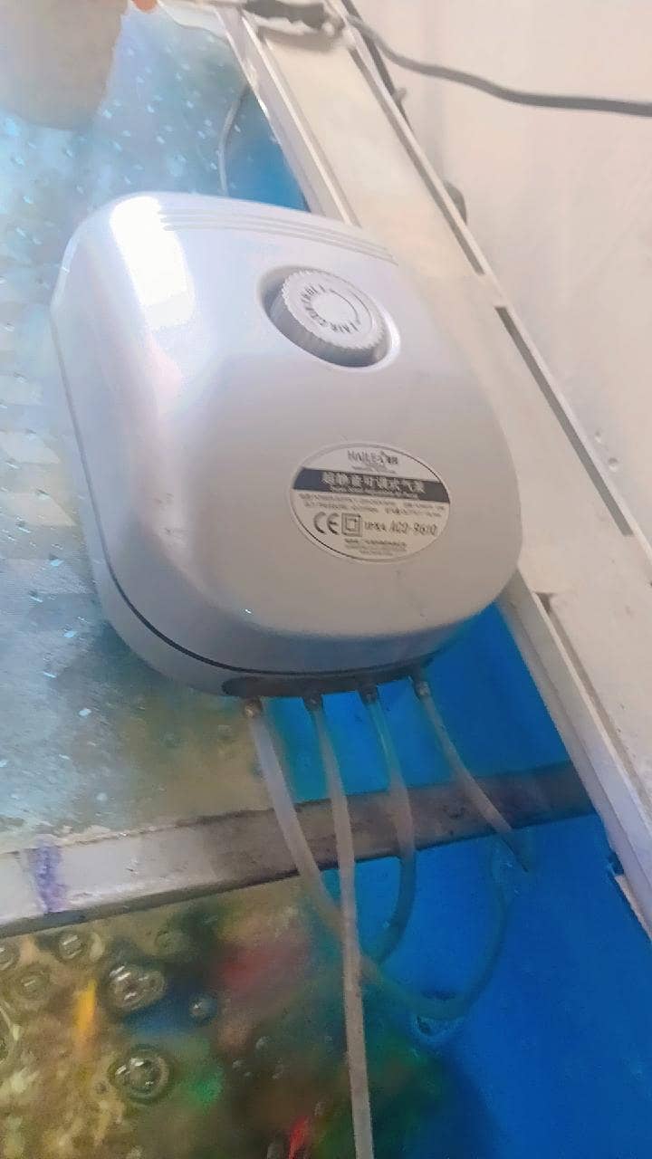 38000 3