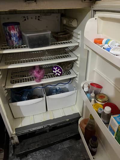 refrigerator and freezer pel