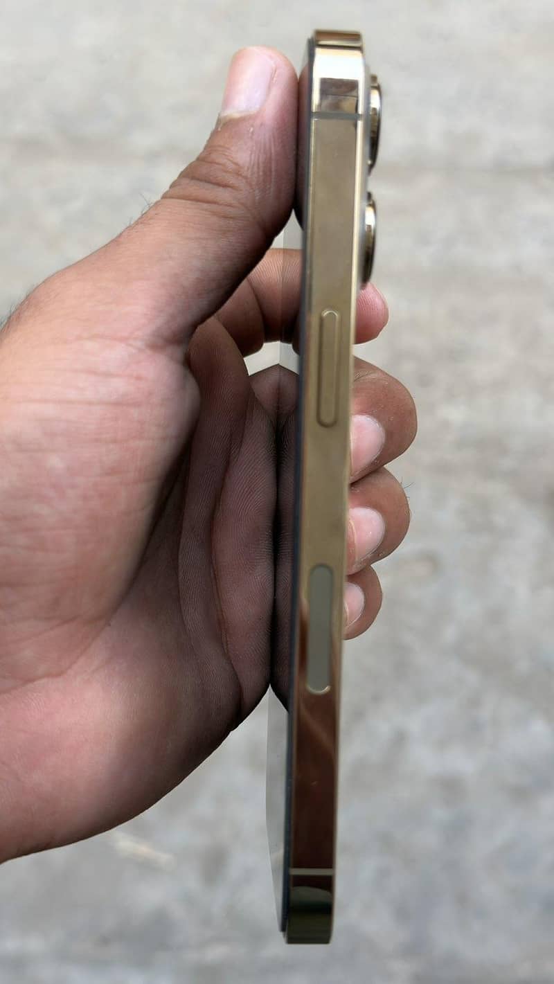 Apple iPhone 13 Pro 1