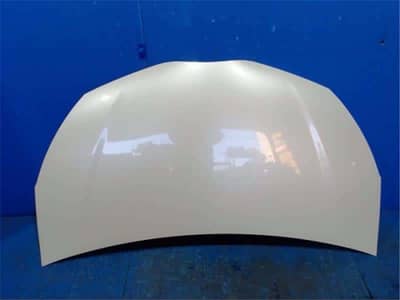 Vitz 2012 bonnet fresh
