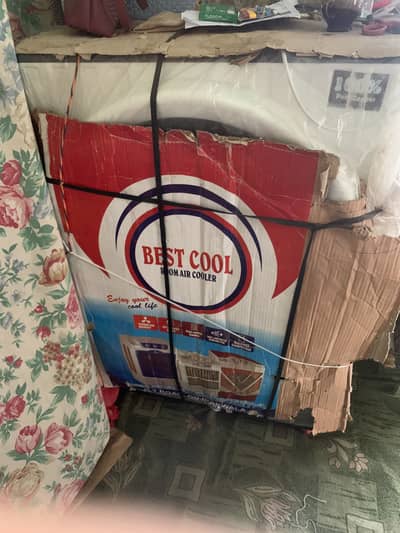 Air cooler
