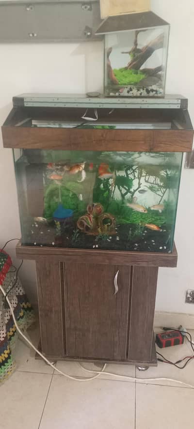 urgent sale fish aquarium