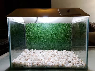 Fish Aquarium/tank