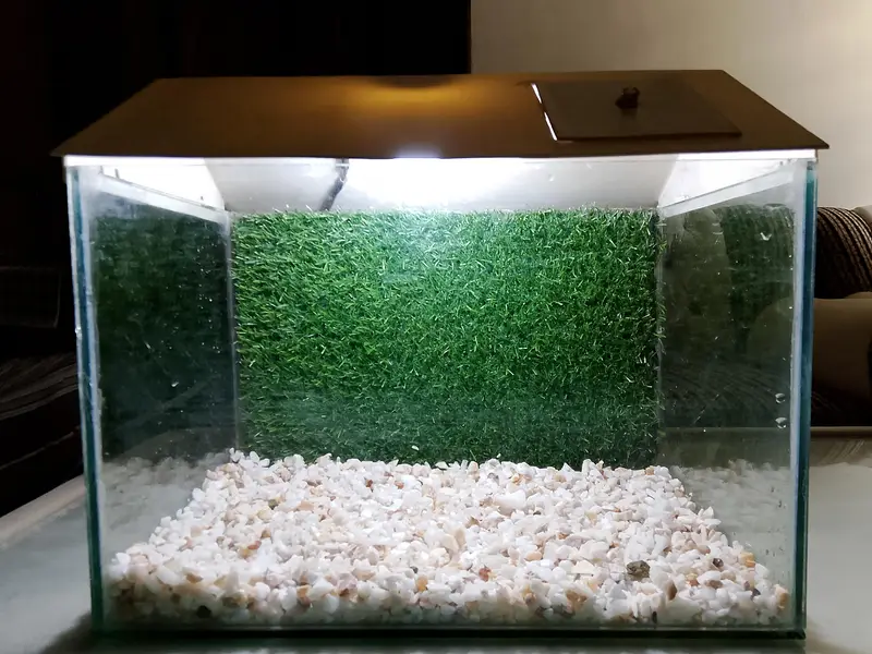 Fish Aquarium/tank