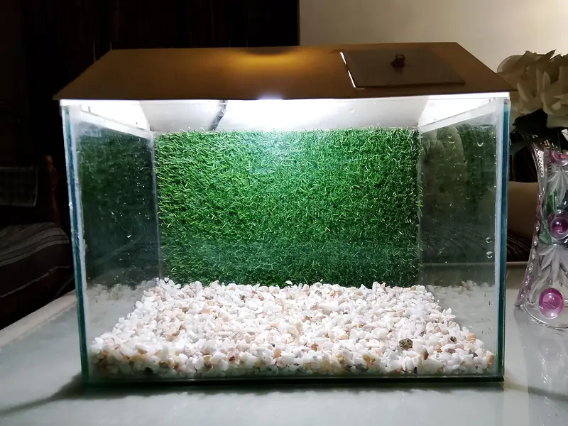 Fish Aquarium/tank — photo 2