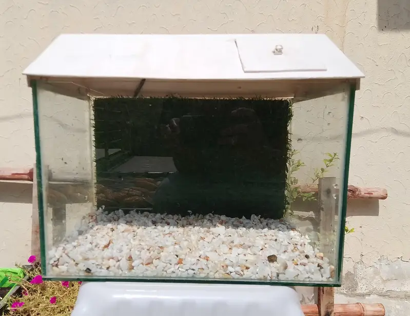 Fish Aquarium/tank — photo 5
