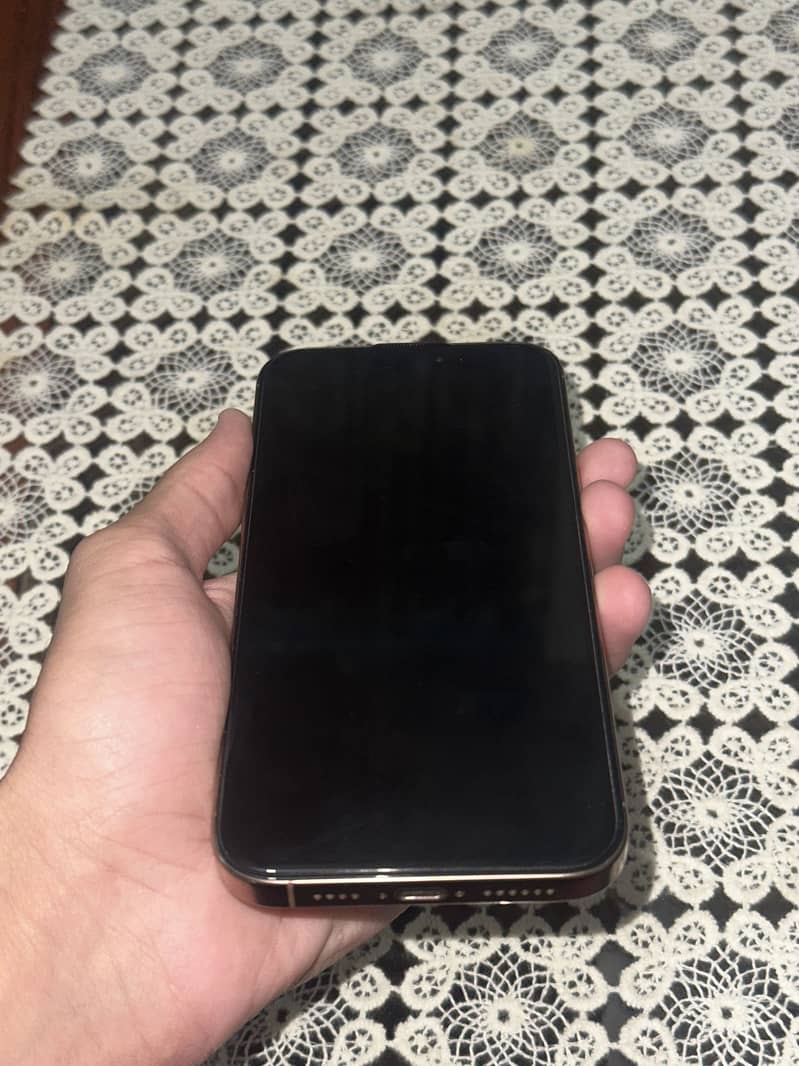 Apple iPhone 16 Pro Max 3