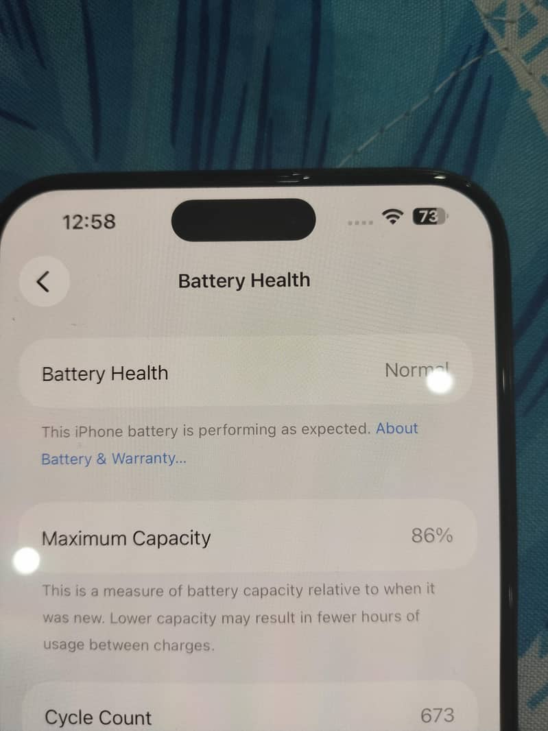 Apple iPhone 15 Pro Max 2