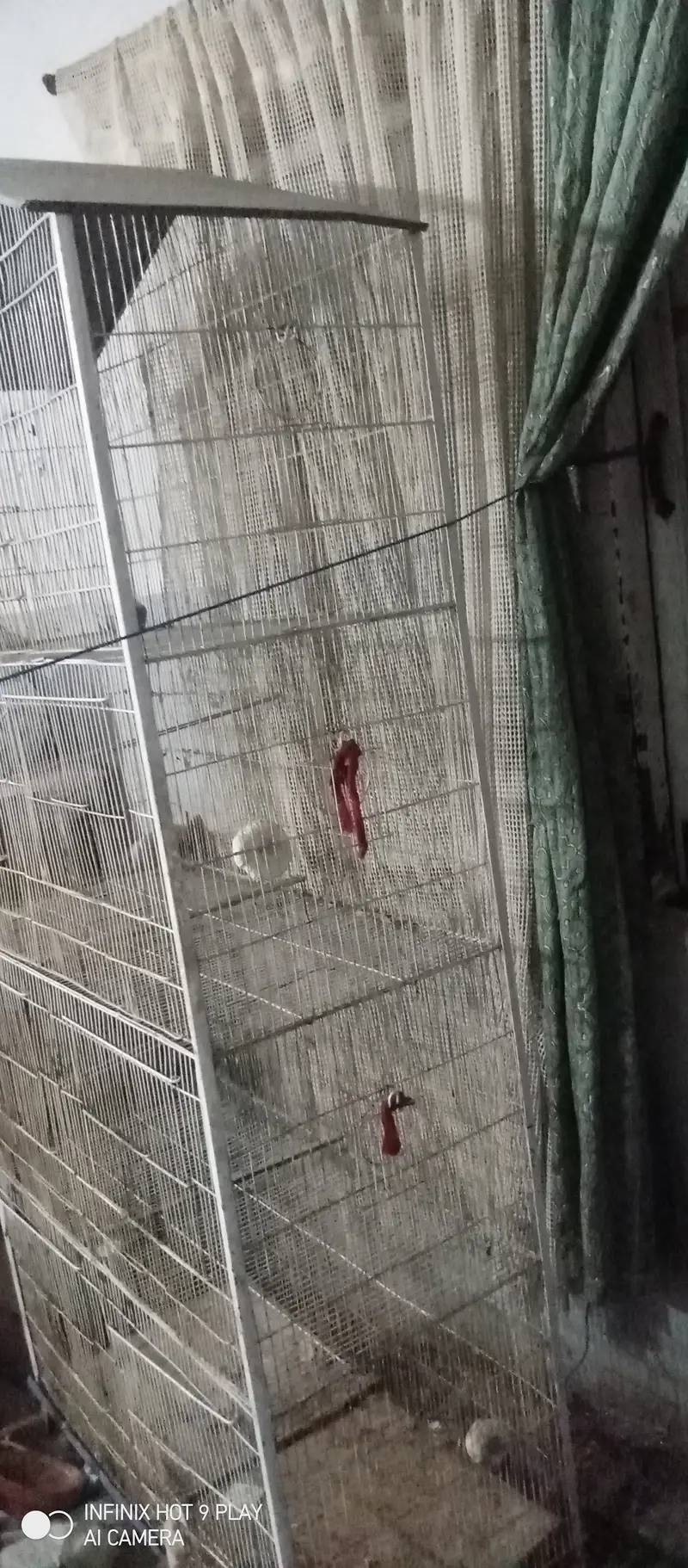 Birds cage for sale — photo 2