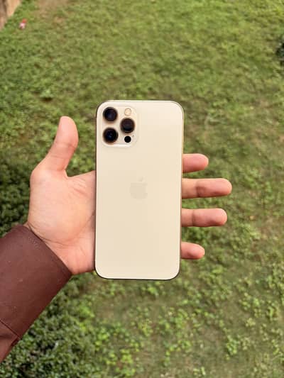 Apple iPhone 12 Pro Max