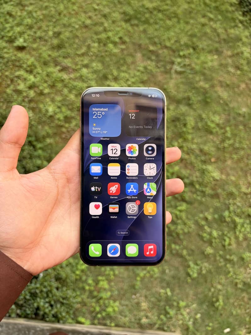 Apple iPhone 12 Pro Max 1