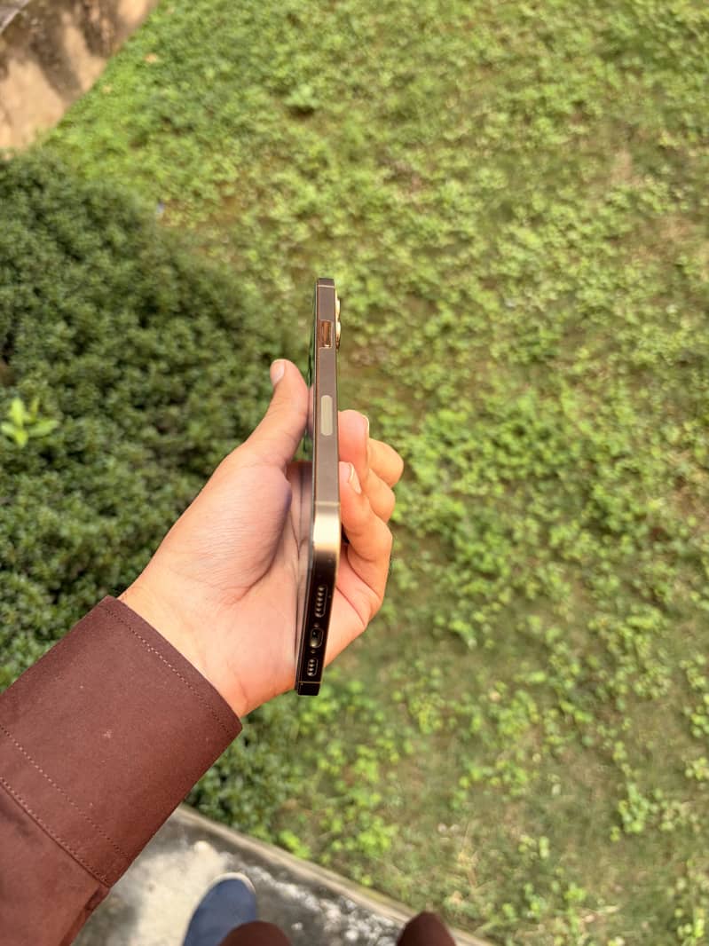 Apple iPhone 12 Pro Max 5