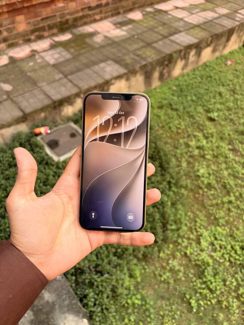 Apple iPhone 12 Pro Max 9