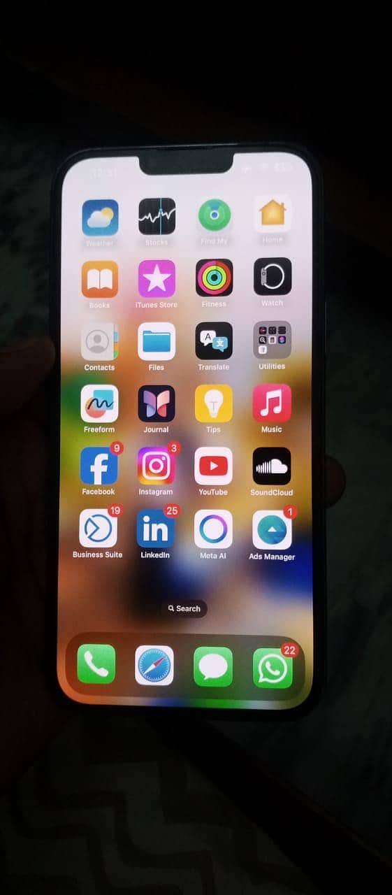 Apple iPhone 12 Pro Max 2