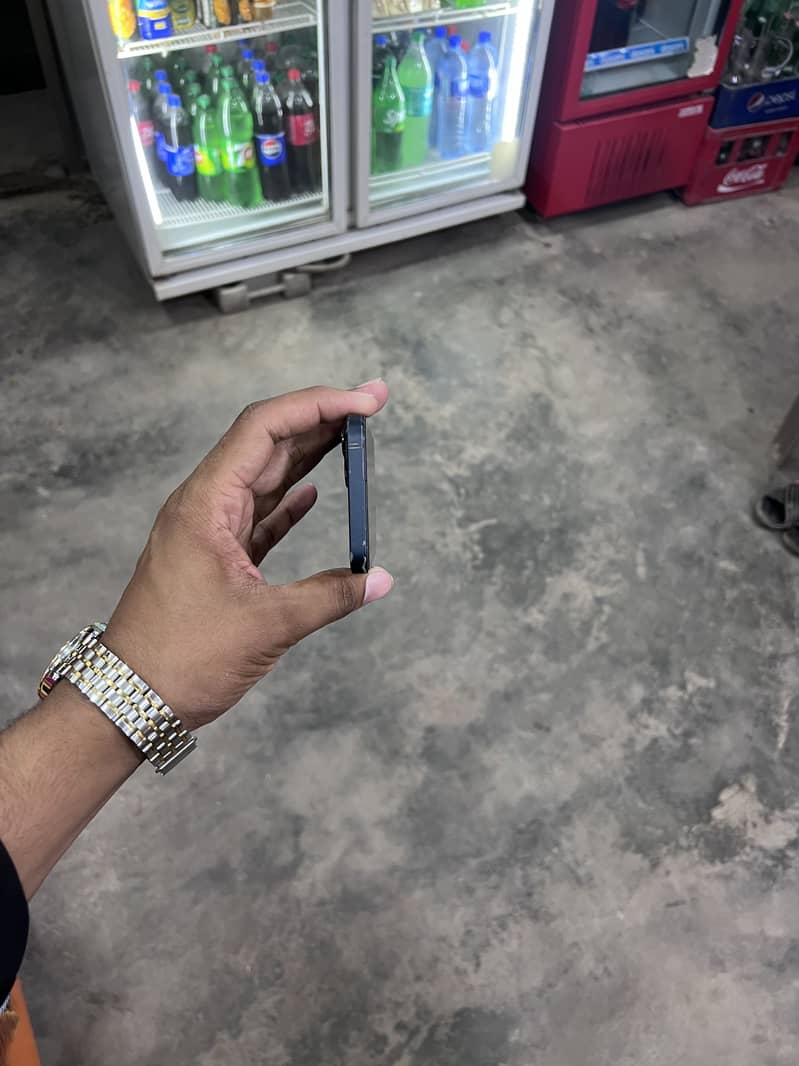 Apple iPhone 13 0