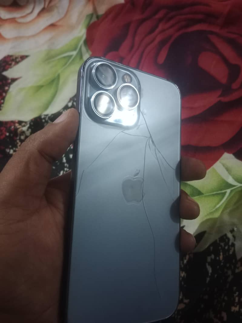 Apple iPhone 13 Pro Max 1
