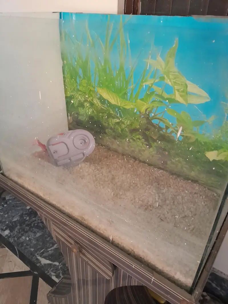 1 year used aquariam for sale, no breakage no leakage,size 1 by 2 feet — photo 2