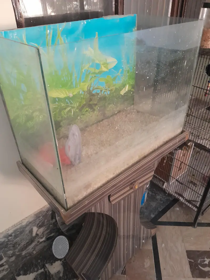 1 year used aquariam for sale, no breakage no leakage,size 1 by 2 feet — photo 3