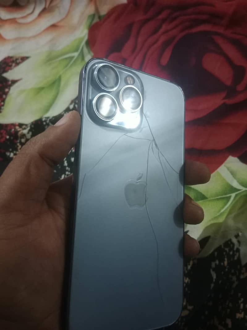 Apple iPhone 13 Pro Max 0