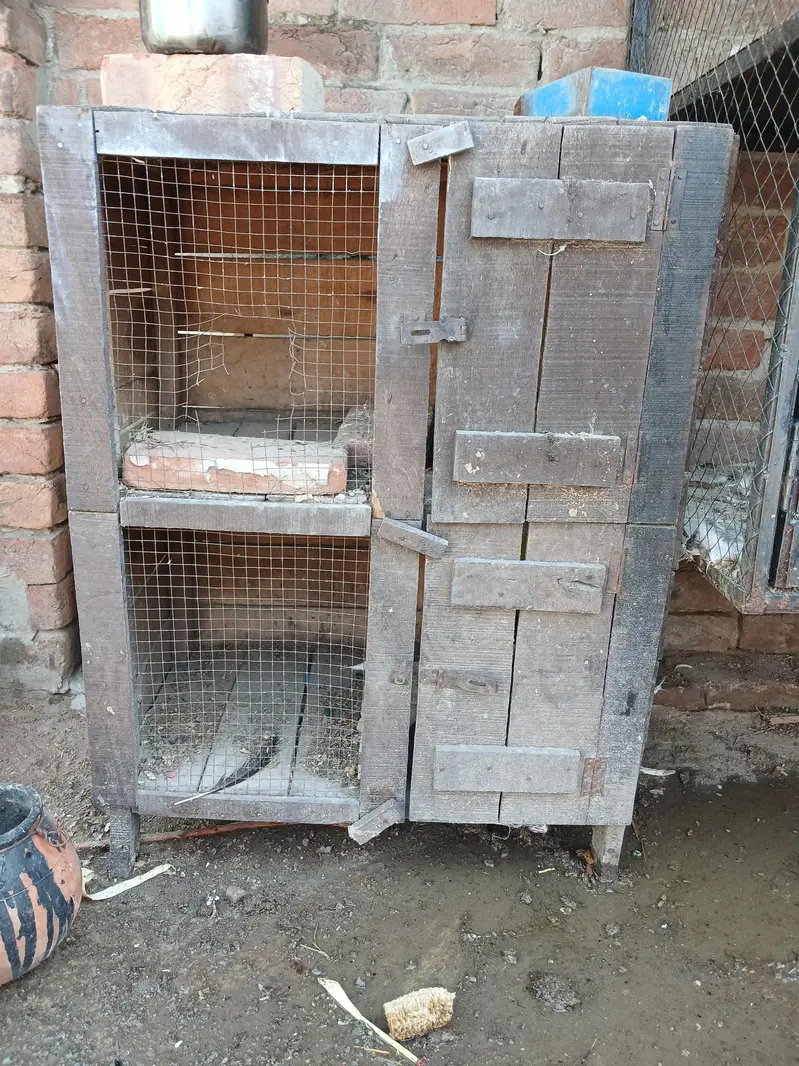wooden cage 2 portion