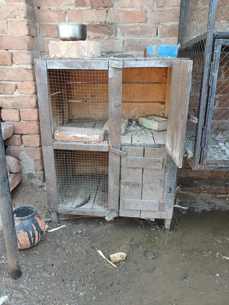 wooden cage 2 portion — photo 2