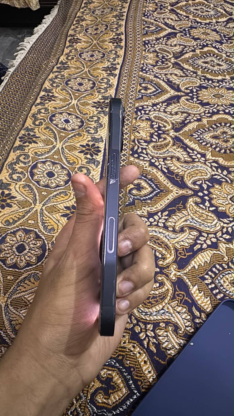 Apple iPhone 13 0