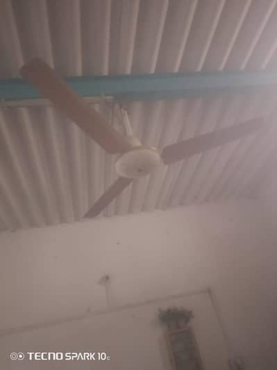 Fan 3